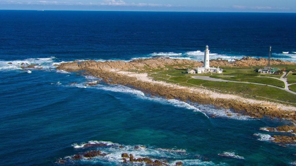 Seal Point Apartments Cape St. Francis Dış mekan fotoğraf